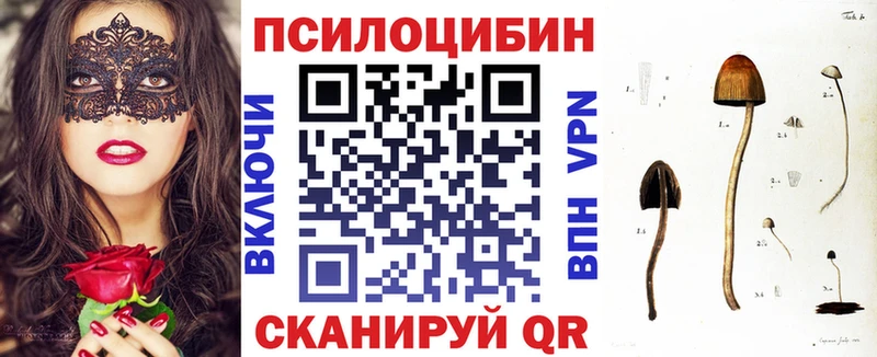 Псилоцибиновые грибы Cubensis  как найти закладки  Нерюнгри 