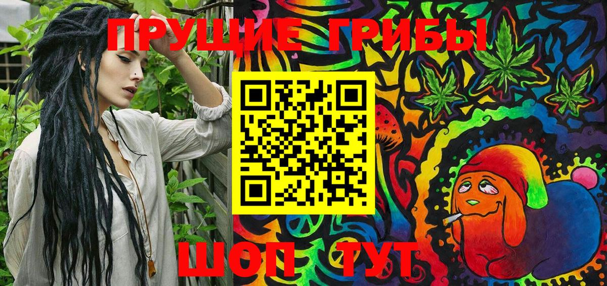 Галлюциногенные грибы Psilocybe  Вход с VPN  Нерюнгри 